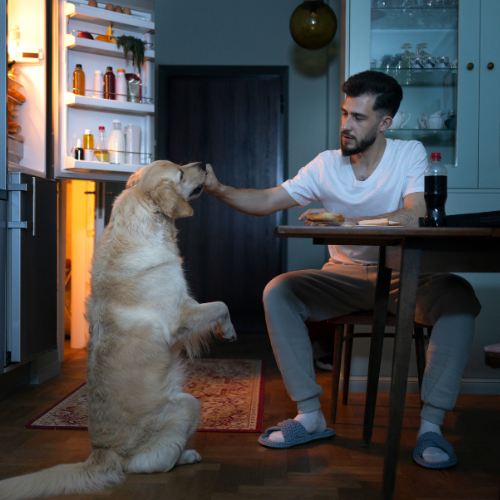 The Gamma Trap: How Options Markets Have Become the Tail That Wags the Dog